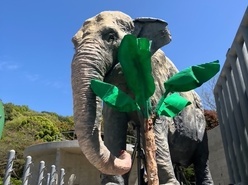 迫力満点のふじ子像の画像