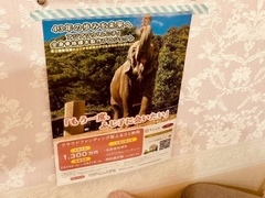 Y’2LOHAS様の写真