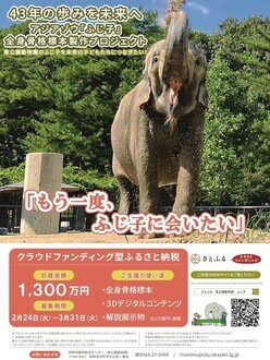 チラシ（表）の画像