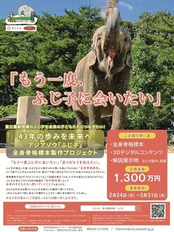 ポスターの画像