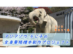 ユーチューブのサムネイル画像