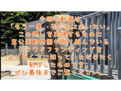 ユーチューブの1コマ（今回の動画について）