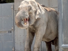 57歳のお誕生日会のふじ子