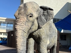 ふじ子にそっくりです