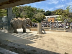 57歳のお誕生日会のふじ子2