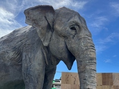 城西高校の文化祭で展示されたふじ子の模型2