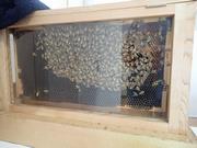 イベントの様子1