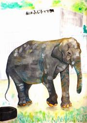 画像：日本動物園水族館協会会長賞