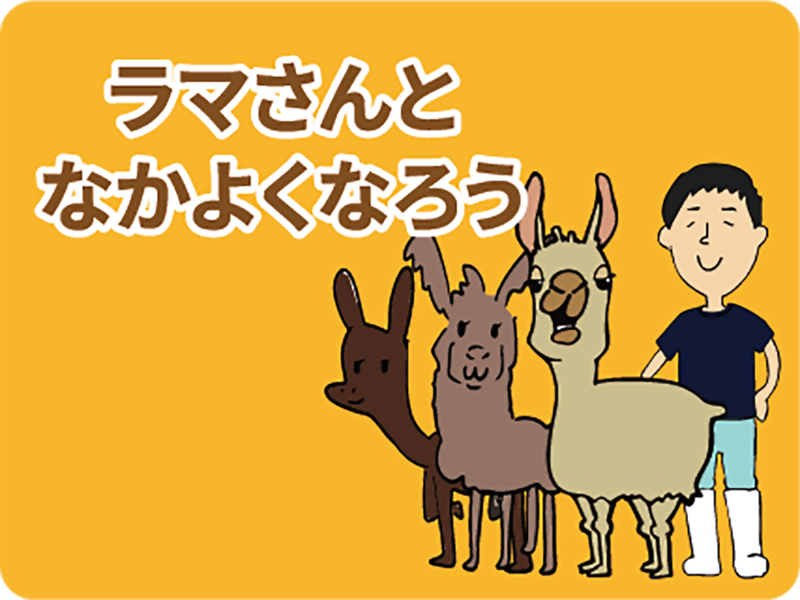 ラマさんとなかよくなろうの画像