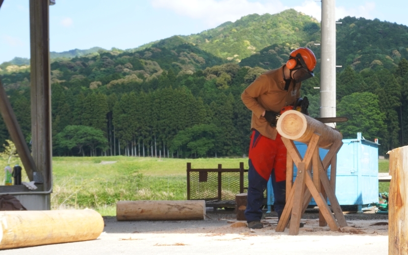 過去の森の仕事体験会の写真です。額田の山をバックにチェーンソーで丸太を切る練習をしています。