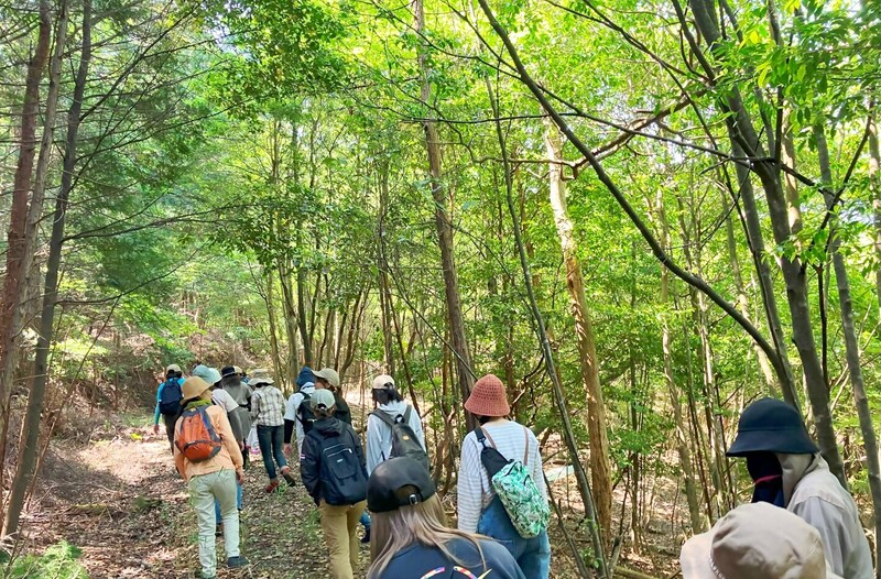 過去のイベントの様子です。森を歩いて森林浴をしています。