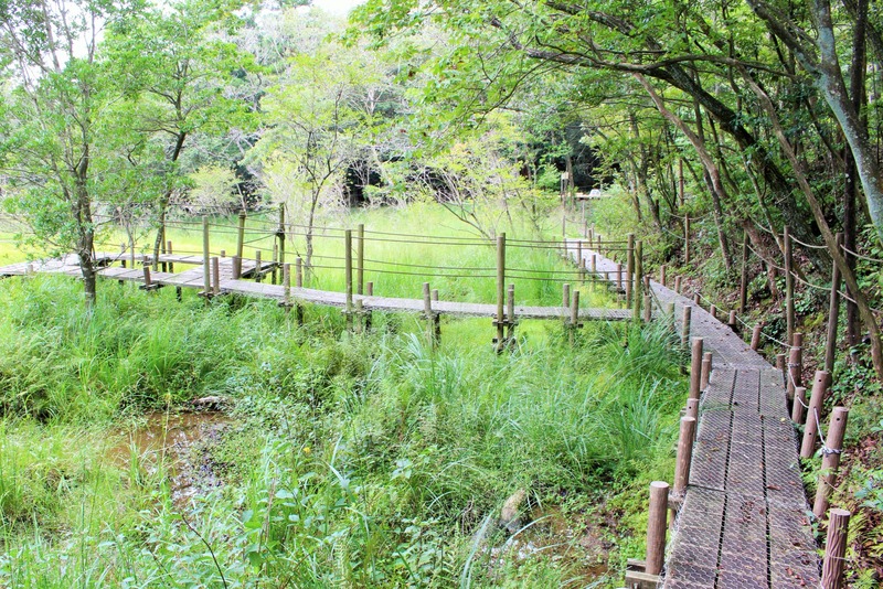 北山湿地の写真