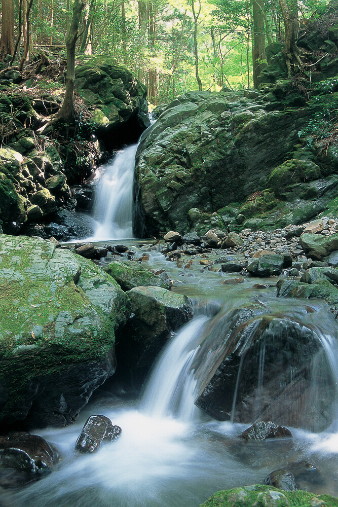 くらがり渓谷の写真