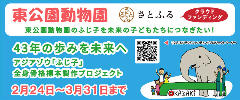 アジアゾウ「ふじ子」全身骨格標本製作プロジェクトの画像