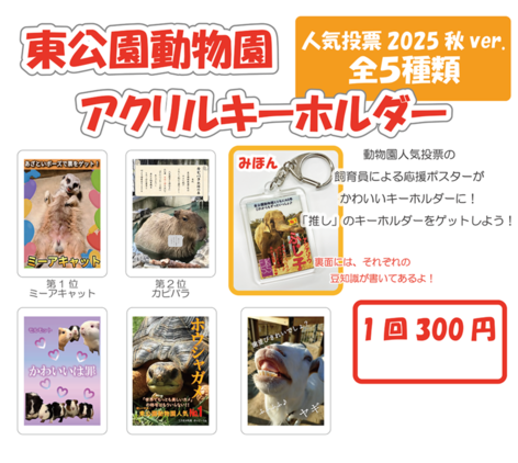 キーホルダーのイメージ