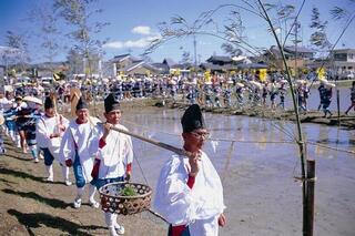 お田植えまつり2
