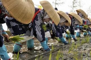 お田植えまつり3