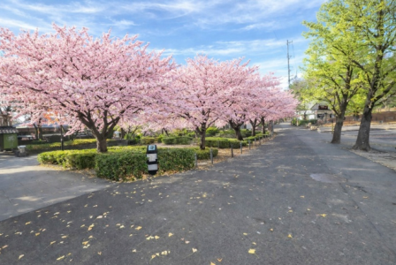 イメージパース2