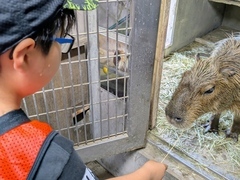 うらがわ探検のようす4