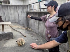 うらがわ探検のようす5