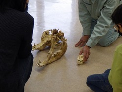イベントの様子2