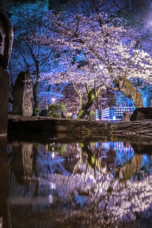 グランプリ作品