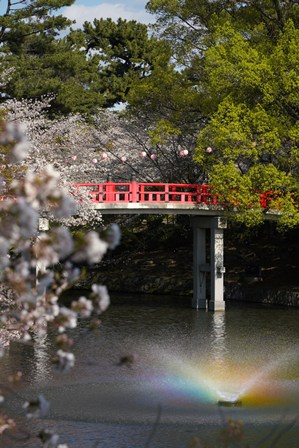 入賞【昼桜賞】作品