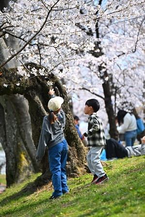 入賞【桜保全賞】作品