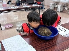 うらがわ探検の様子3
