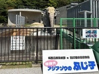ふじ子像の画像