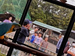 動物園での観察のようす