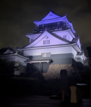 写真:ライトアップされた岡崎城天守