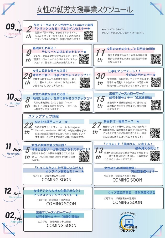 テレワーク応援プロジェクトスケジュール