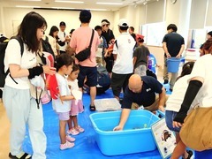 生き物の展示のようす