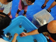 生き物のふれあいのようす