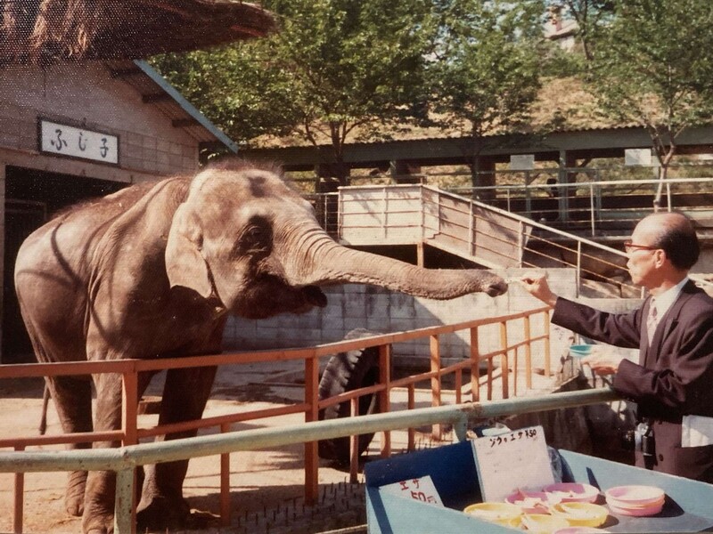 赤坂遊園時代のふじ子の画像
