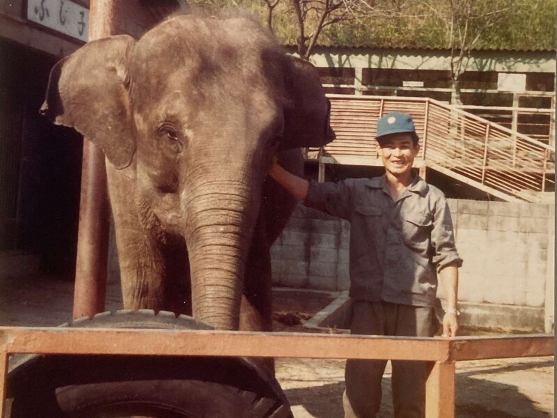 研修中の岩尾飼育員とふじ子の画像