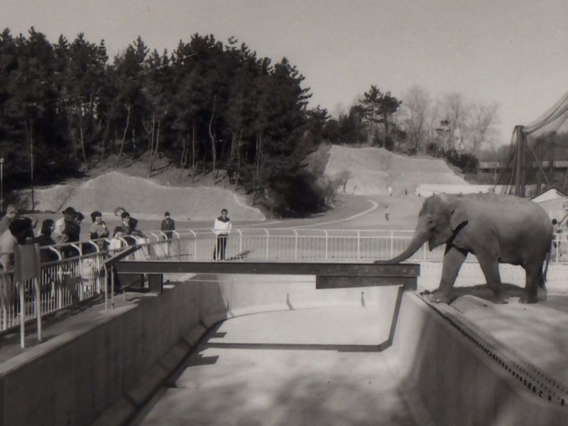 初代ベルトコンベア（1983年12月25日設置）の画像