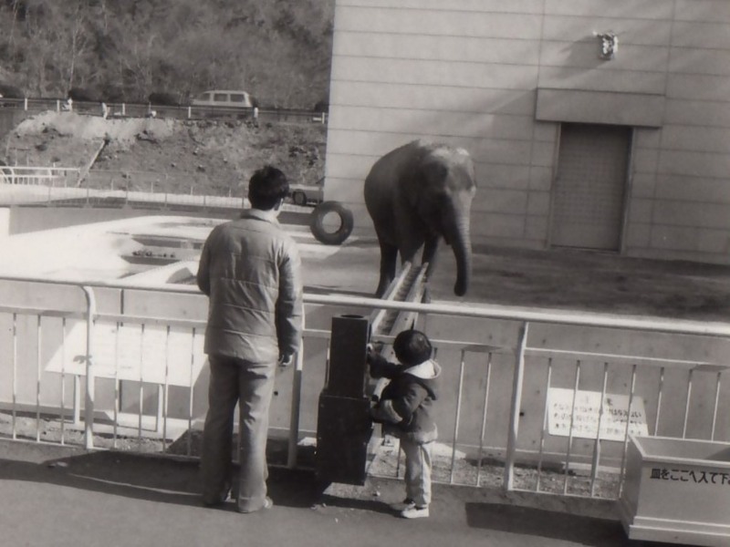 ふじ子さんごはんだよ～の画像