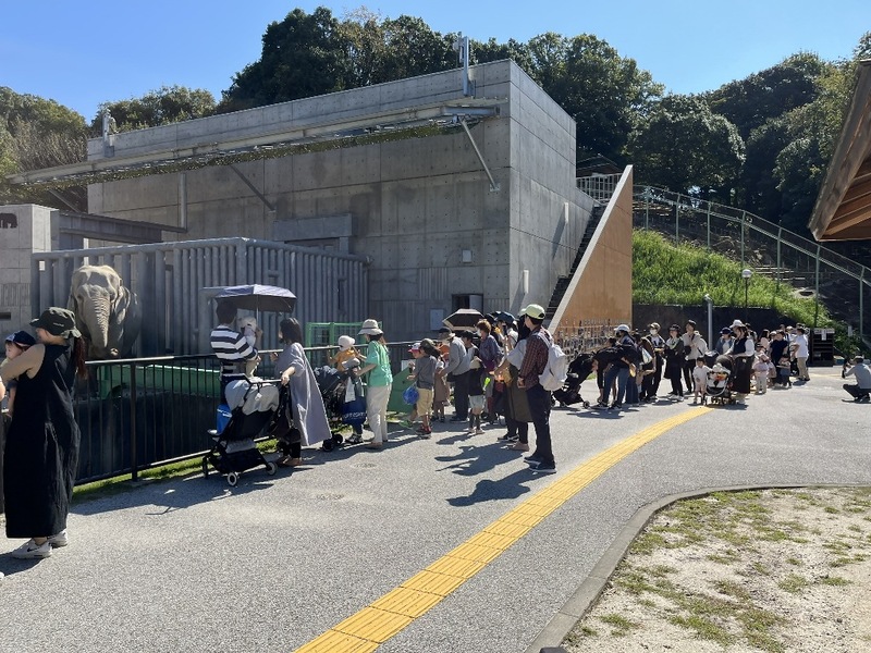 いつもの当たり前の風景となったエサやり体験の大行列の画像
