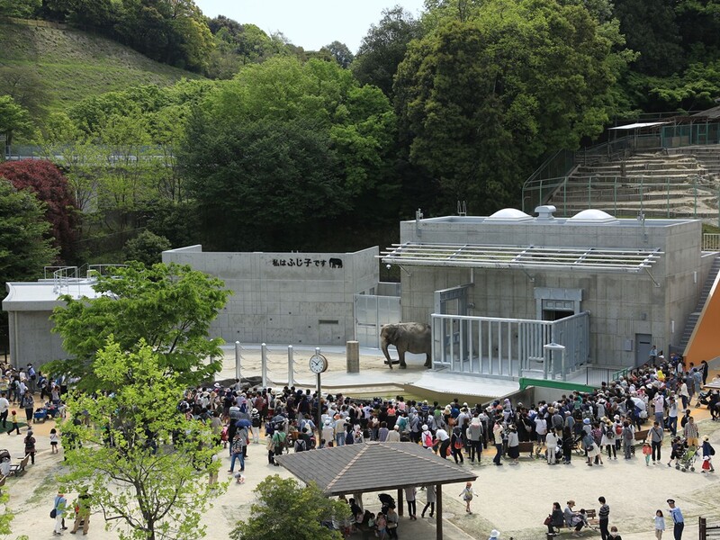 新しくなったゾウ舎のお披露目会の様子