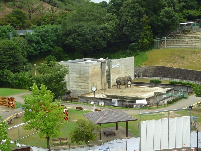 ふじ子が33年間くらした、工事前のゾウ舎の画像