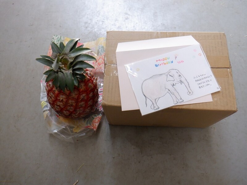 ふじ子に届いた手紙とパイナップル