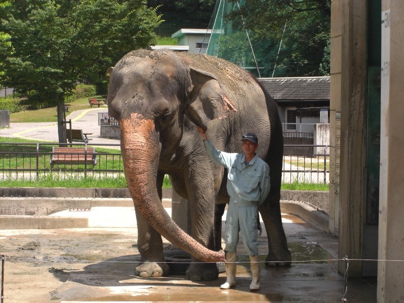 佐竹飼育員とふじ子の画像