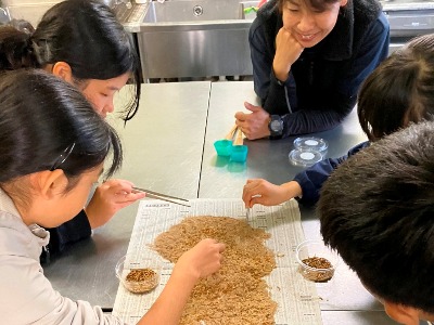 体験の様子3