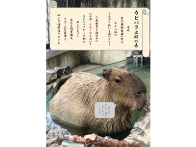 カビバラのポスター画像