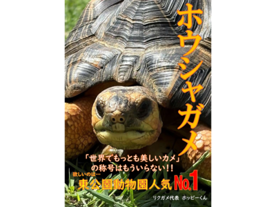 ホウシャガメのポスター画像