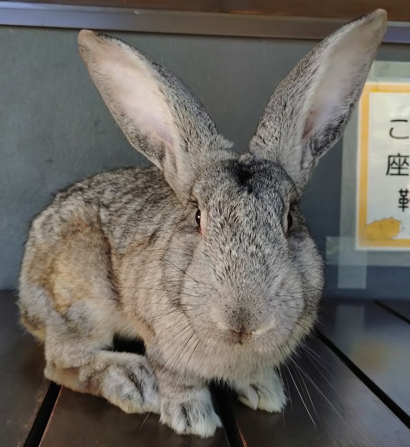 わさび