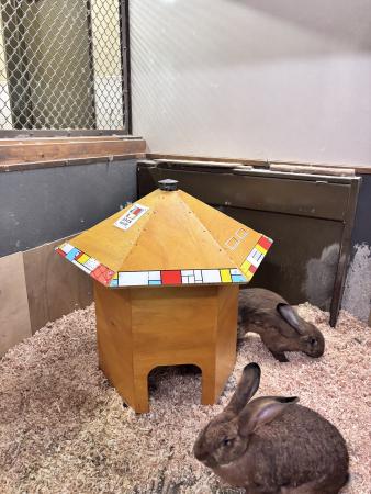 小屋